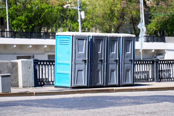 Best Sanitation services for porta potties  in Mallory, WV